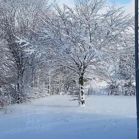 Apartment Schneifelsicht *