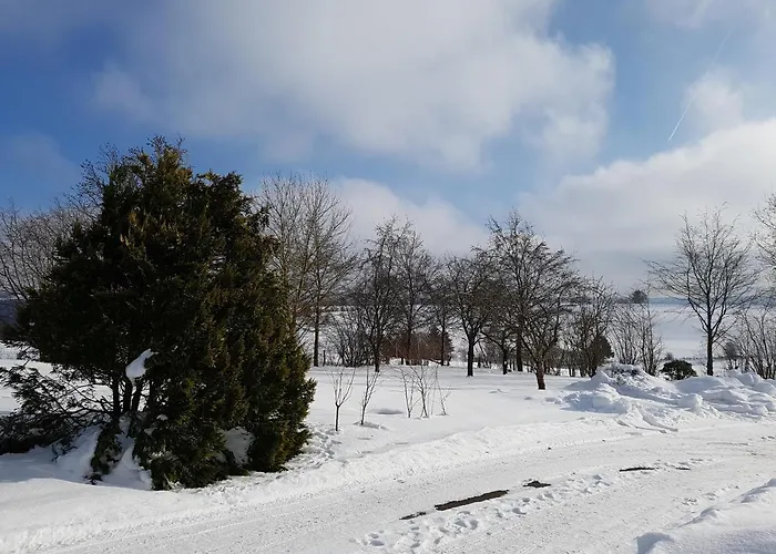 Schneifelsicht Appartamento *